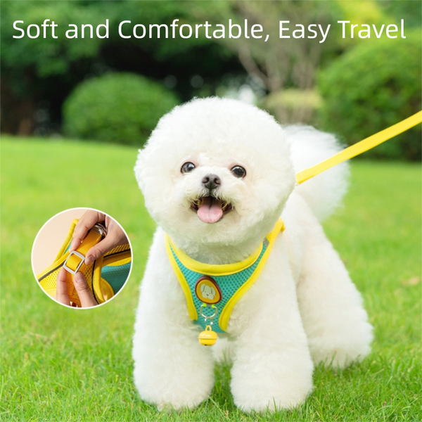 Lovely Dog Harness Small Breed and Leash, Step in Soft Light Puppy Vest, Breathable Mesh No Pull