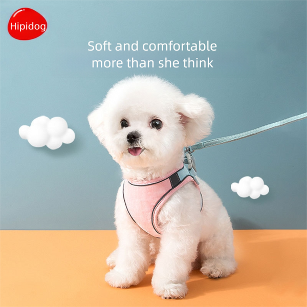 Puppy Harness Small Breed and Leash, Step in Soft Light Dual color mixing Puppy Vest